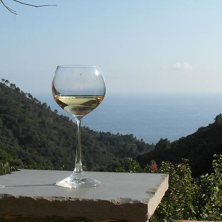 Agriturismo Costa Di Campo Vernazza Bagian luar foto