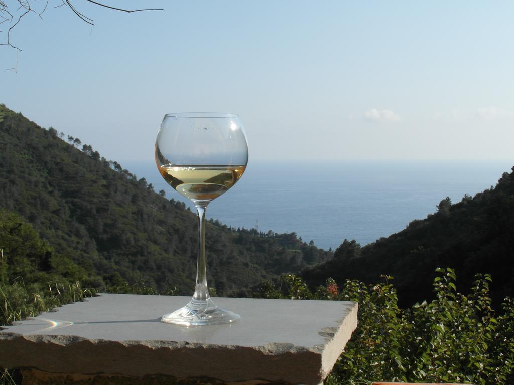 Agriturismo Costa Di Campo Vernazza Bagian luar foto