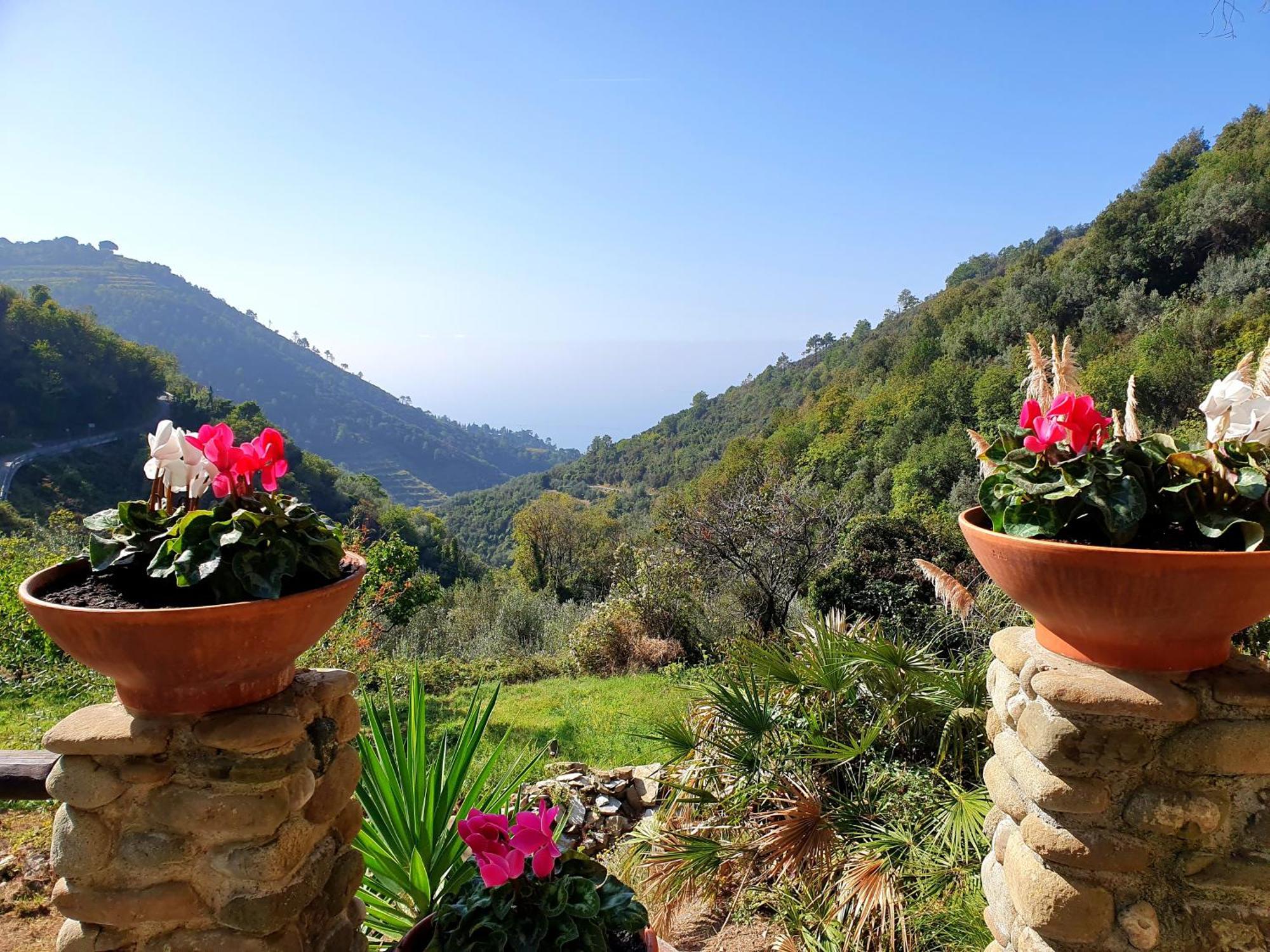 Agriturismo Costa Di Campo Vernazza Bagian luar foto