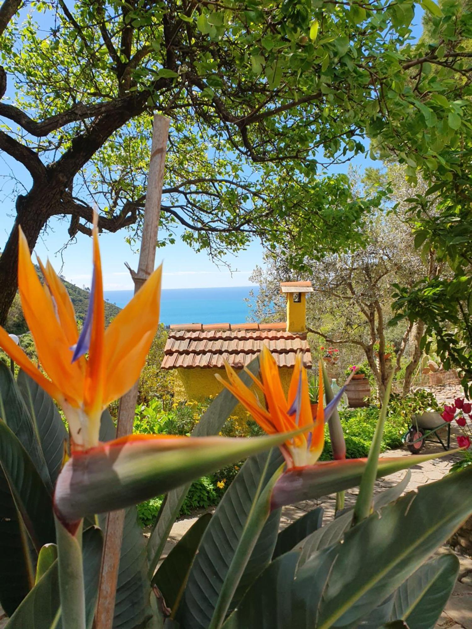 Agriturismo Costa Di Campo Vernazza Bagian luar foto