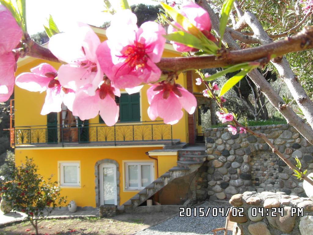 Agriturismo Costa Di Campo Vernazza Bagian luar foto