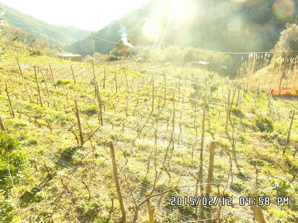 Agriturismo Costa Di Campo Vernazza Bagian luar foto