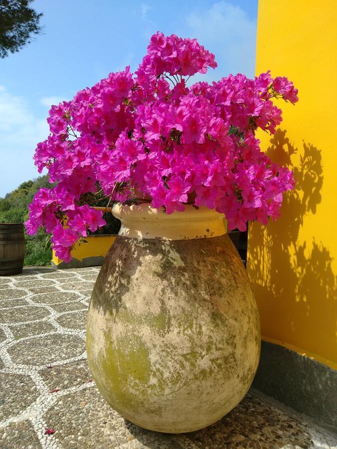 Agriturismo Costa Di Campo Vernazza Bagian luar foto