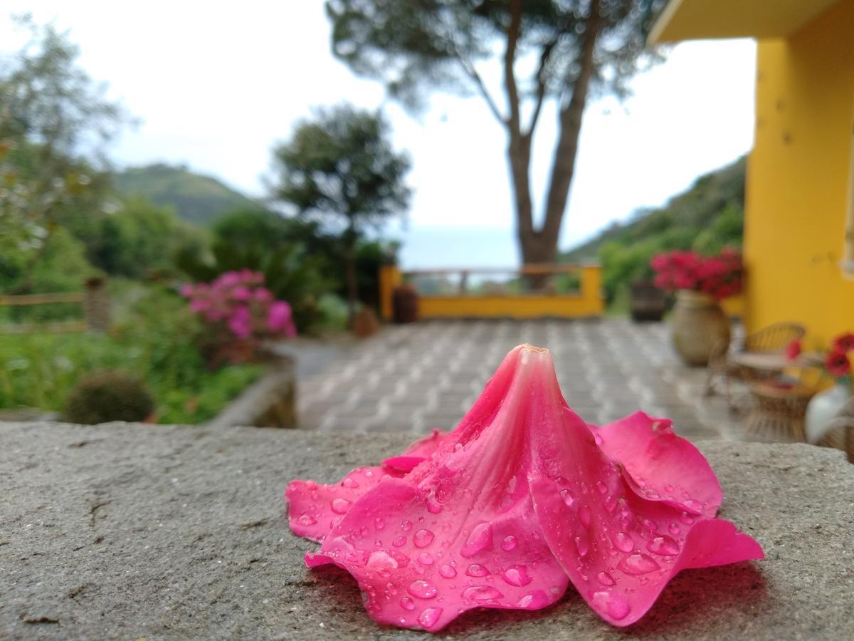 Agriturismo Costa Di Campo Vernazza Bagian luar foto