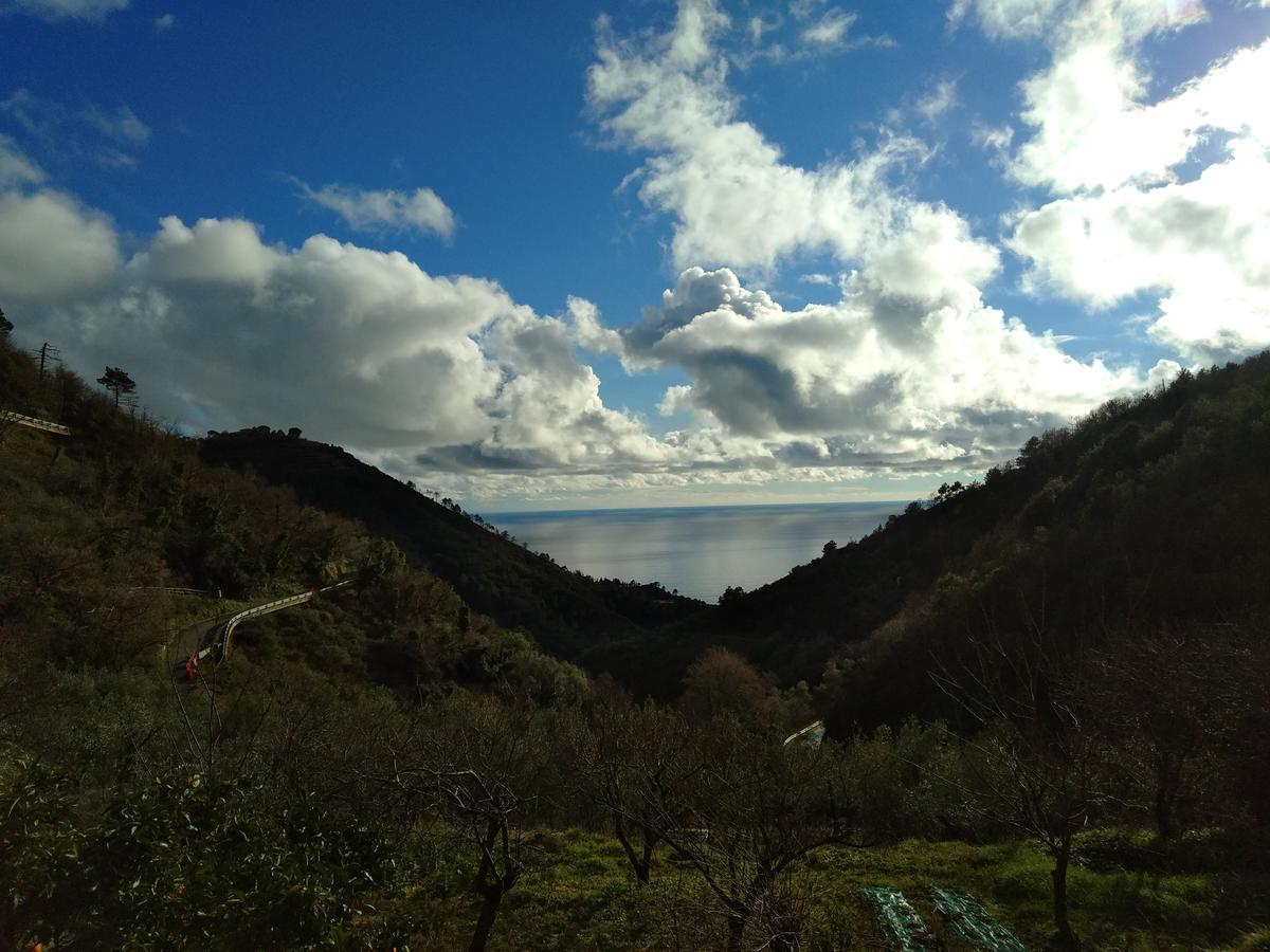 Agriturismo Costa Di Campo Vernazza Bagian luar foto