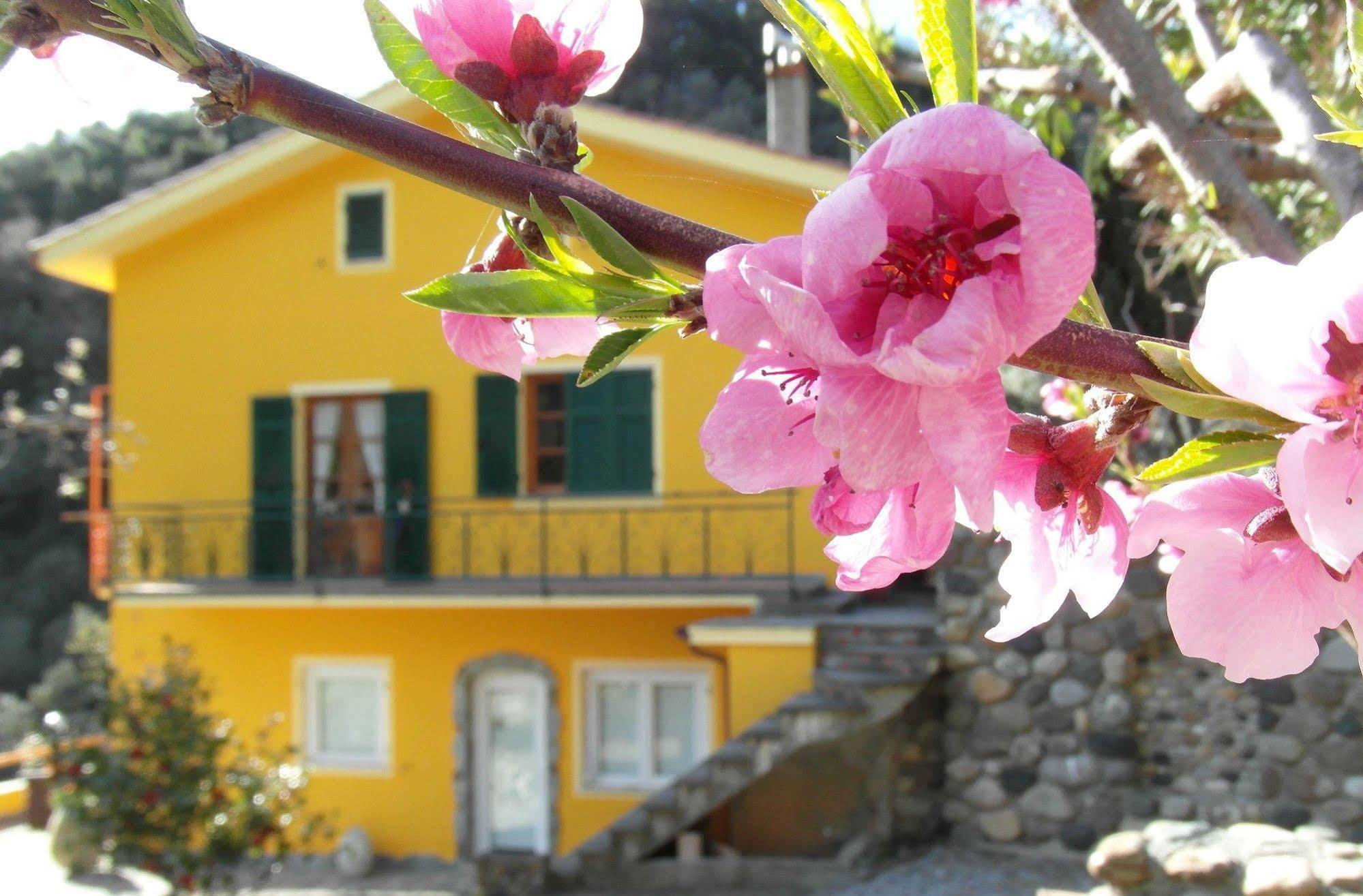 Agriturismo Costa Di Campo Vernazza Bagian luar foto