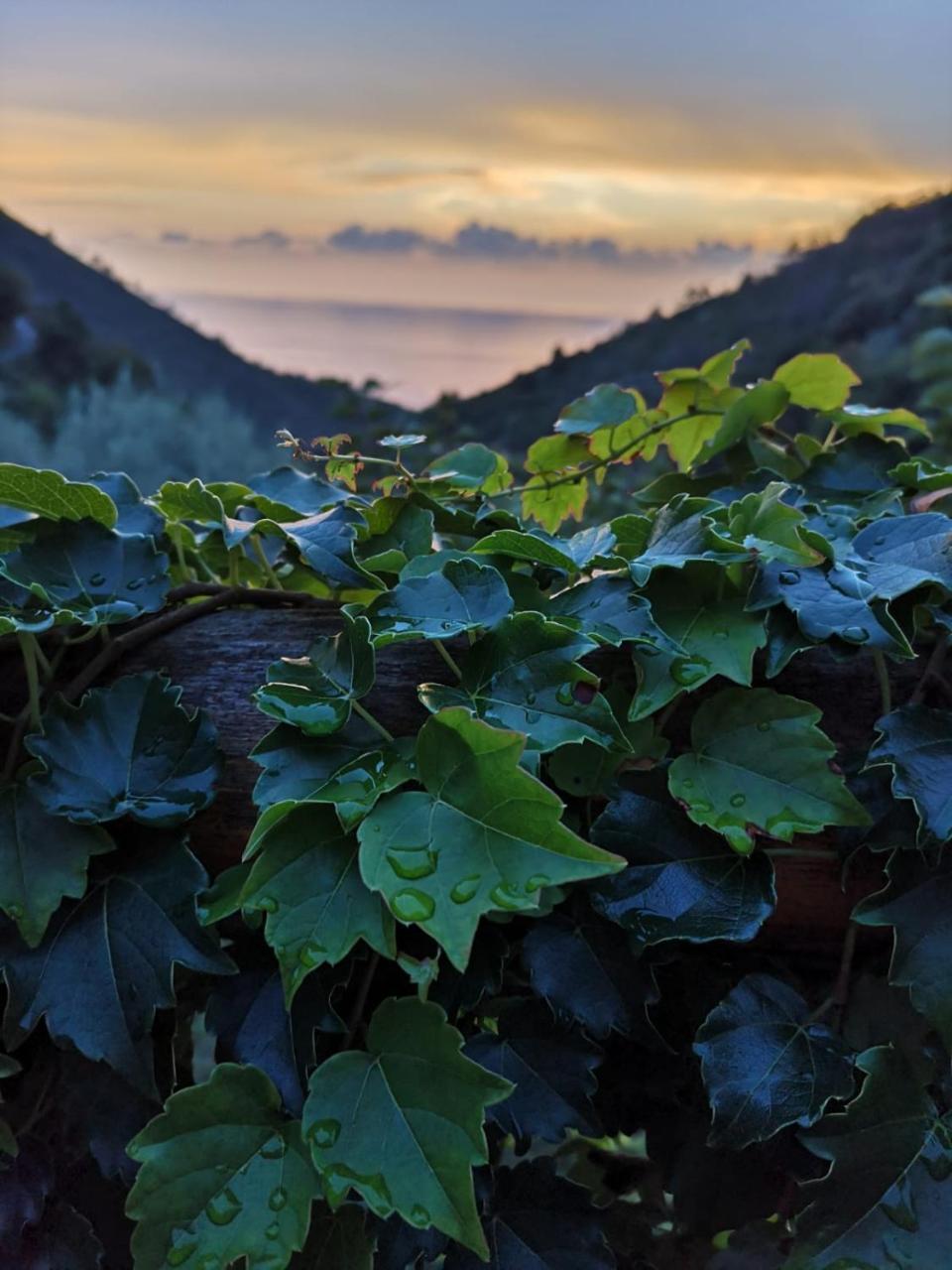 Agriturismo Costa Di Campo Vernazza Bagian luar foto