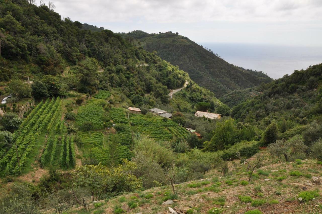Agriturismo Costa Di Campo Vernazza Bagian luar foto